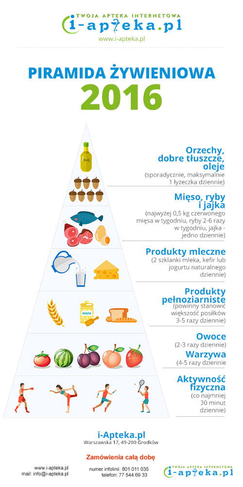Piramida żywienia 2016